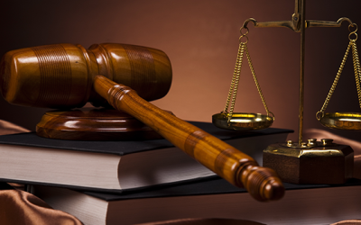 Litigation services | 诉讼服务