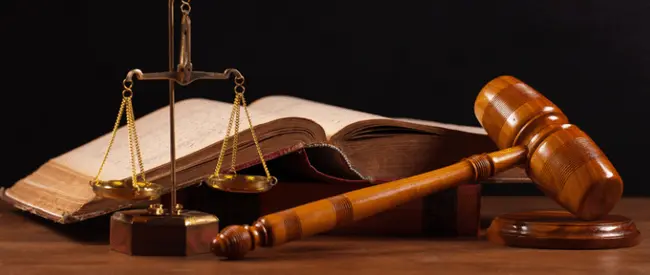 Civil Law services | 民事法律服务